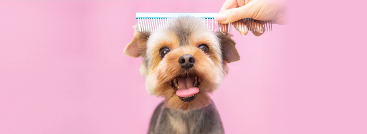 Salud y Belleza Veterinaria
